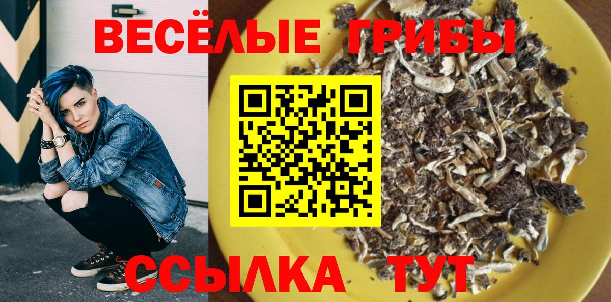 Галлюциногенные грибы Cubensis Рославль