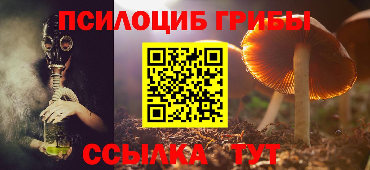 Галлюциногенные грибы ЛСД  Псилоцибиновые грибы Psilocybe  Вход с VPN  Рославль 